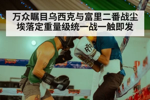 Oleksandr Usyk boxing