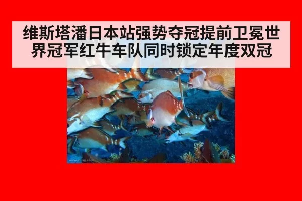 维斯塔潘日本站强势夺冠提前卫冕世界冠军红牛车队同时锁定年度双冠